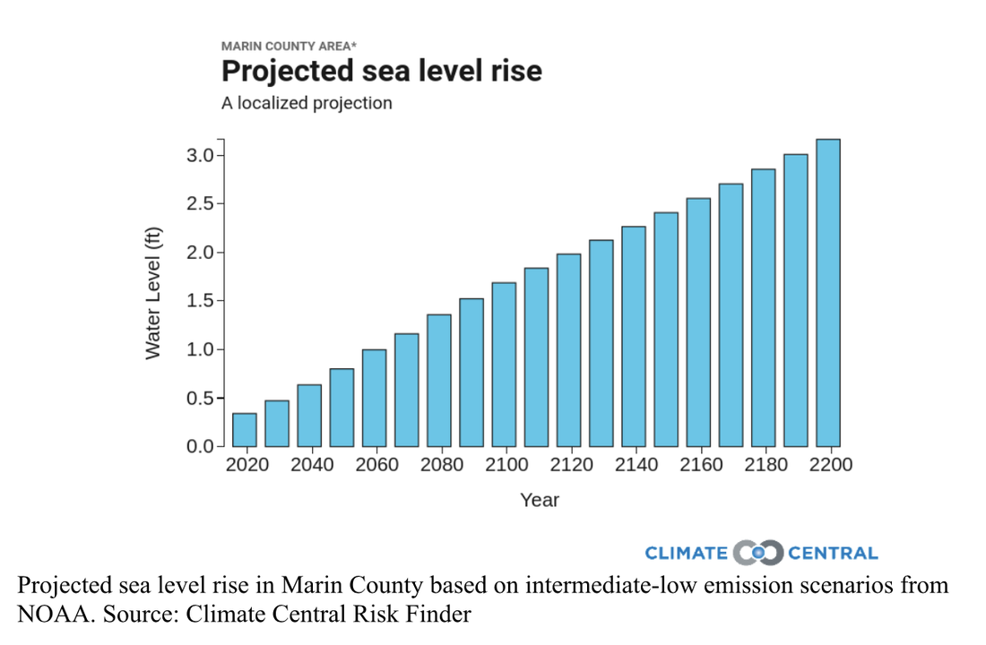 Projected sea level rise in Marin County based on intermediate-low emission scenarios from NOAA. Source: Climate Central Risk Finder.